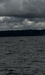 IMG 4676