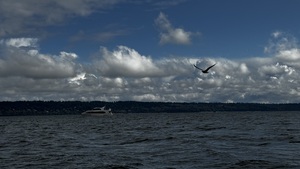 IMG 4680