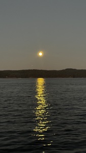 IMG 4884