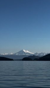 IMG 4950