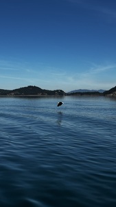 IMG 4954