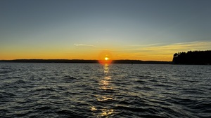 IMG 4971