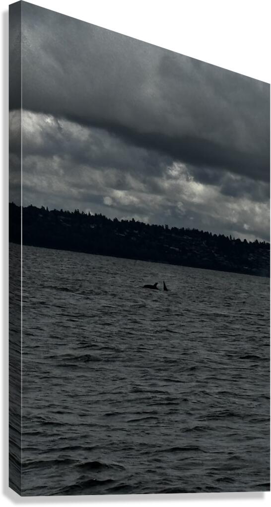 IMG 4676 Canvas Print