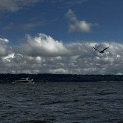 IMG 4680