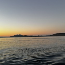IMG 4878
