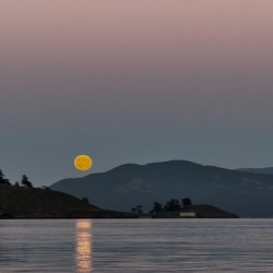 IMG 4879
