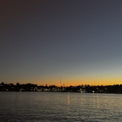 IMG 4885