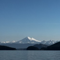 IMG 4950