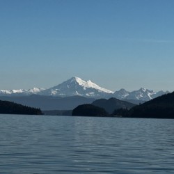 IMG 4951