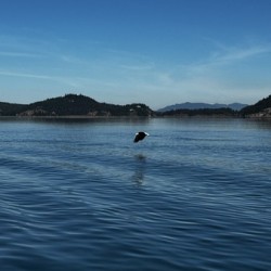 IMG 4954