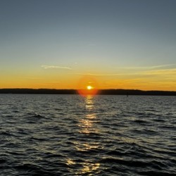 IMG 4971