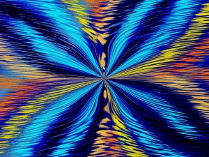 Blurring In A Flower 2