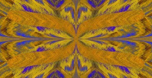 Butterfly Of Motion
