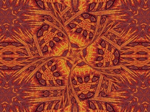 Desert Sunshine 219