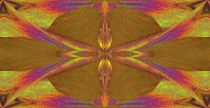 Emerging Butterfly