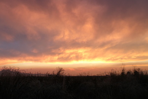Evolving Sunset Of September 8