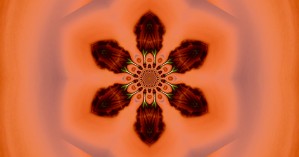 Hawk Feather Flower