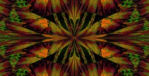 Inner Butterfly