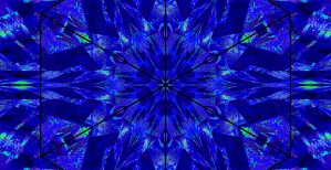 Lotus In Moonlight 2