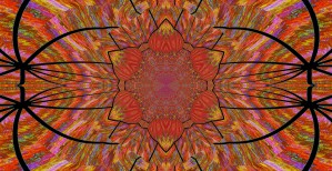 Lotus Light Wave