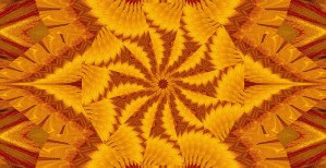 Movement Of The Sun