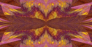 Random Butterfly