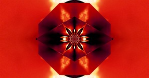 Red Fire Flower 3