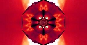 Red Fire Flower 5