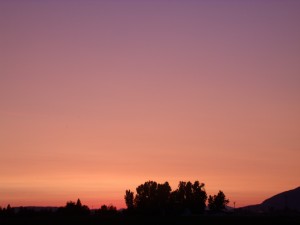 Sunset Over Trees 2