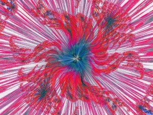 Wind Falling Flower 1