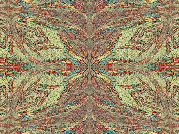 Butterfly In Spring Print