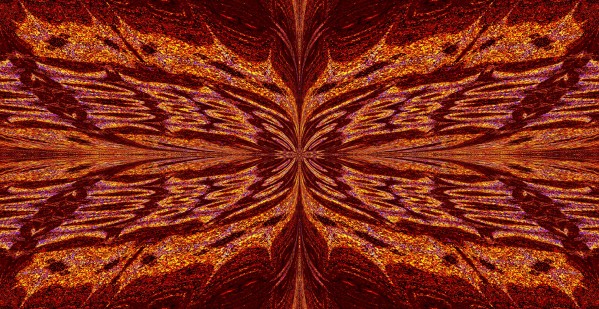 Butterfly Reflection Print