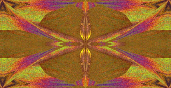 Emerging Butterfly Print