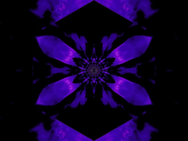 Fire Lotus Deep Purple 2 by Sherrie Larch