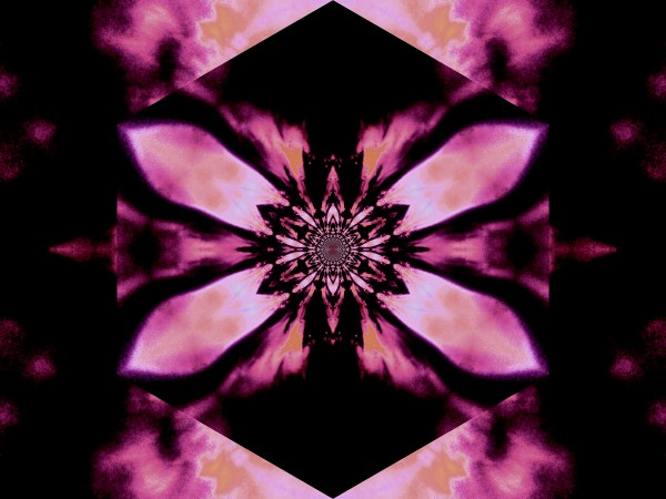 Fire Lotus Light Pink 2 by Sherrie Larch