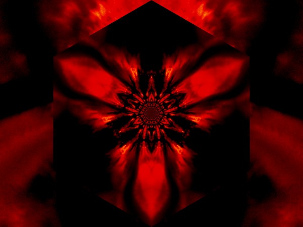 Fire Lotus Red 1 by Sherrie Larch