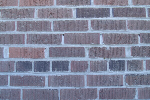 Brick Wall 1 Print