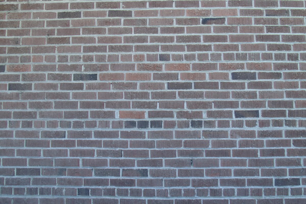 Brick Wall 2 Print
