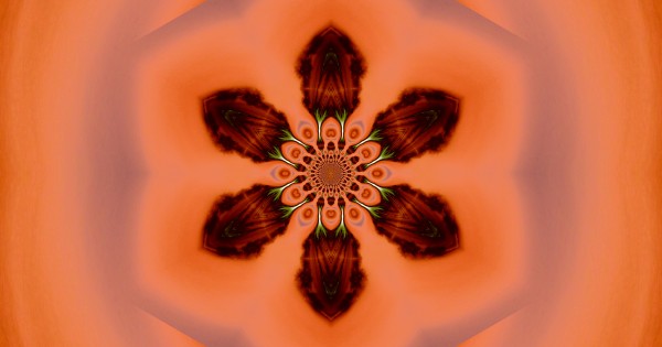 Hawk Feather Flower Print