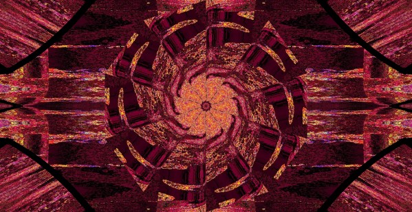 Lotus In Time by Sherrie Larch