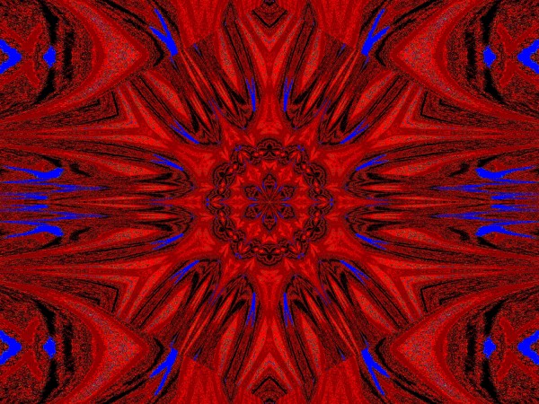 Reflected Lotus 1 Print