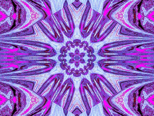 Reflected Lotus 10 by Sherrie Larch
