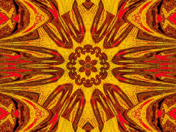 Reflected Lotus 11 Print