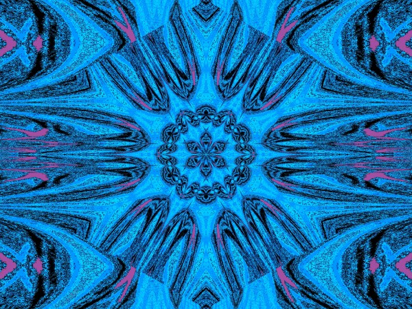 Reflected Lotus 12 Print