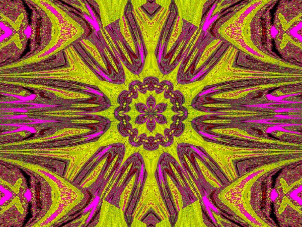 Reflected Lotus 13 Print