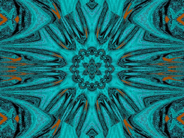 Reflected Lotus 14 Print