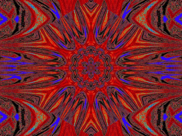 Reflected Lotus 2 Print