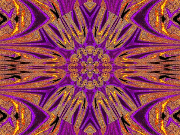 Reflected Lotus 3 Print