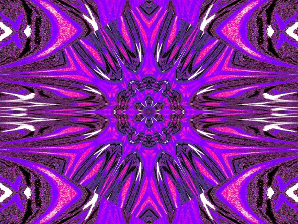 Reflected Lotus 5 Print