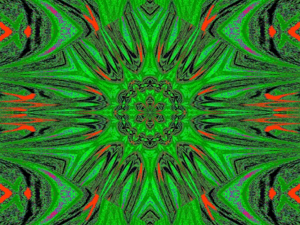 Reflected Lotus 8 Print